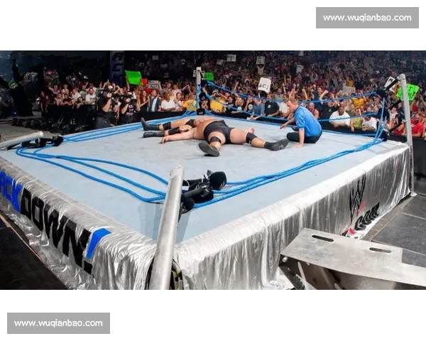 布洛克莱斯纳震撼出击UFC终极对决精彩回顾