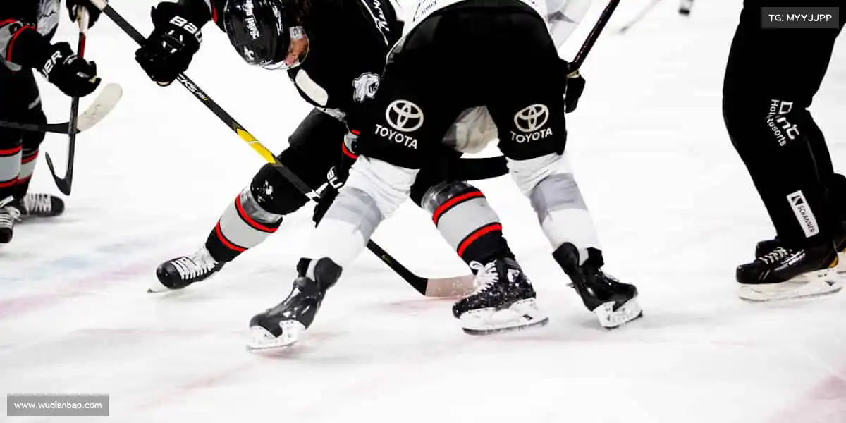 为什么选择我们